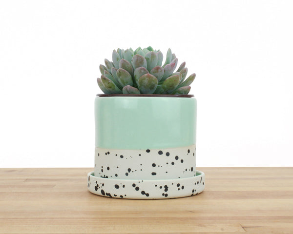 4 inch Seasonal Dipped and Dotted Cylinder Planter with Saucer