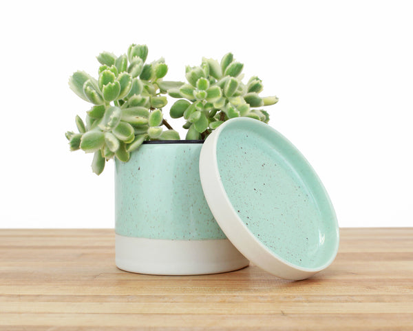 4 inch Cylinder Planter with Saucer - Speckled Glaze