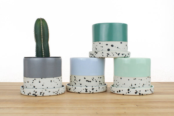 4 inch Seasonal Dipped and Dotted Cylinder Planter with Saucer