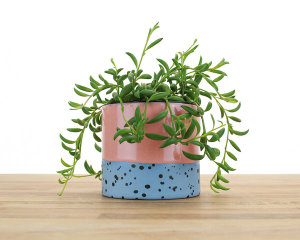 4 inch Dipped and Dotted Cylinder Planter with Saucer