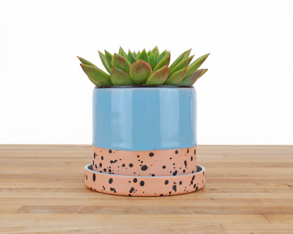 4 inch Dipped and Dotted Cylinder Planter with Saucer