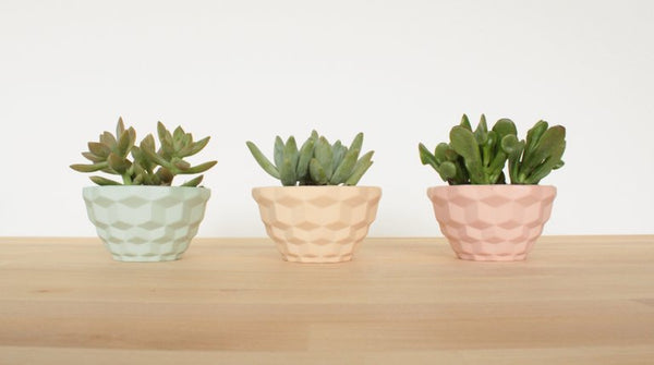 Mini Faceted Planter