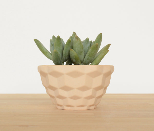 Mini Faceted Planter