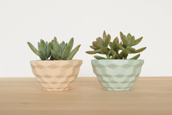 Mini Faceted Planter