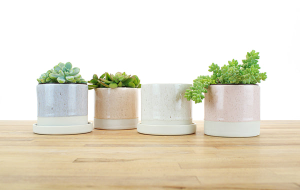 4 inch Cylinder Planter with Saucer - Speckled Glaze