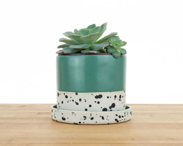 4 inch Seasonal Dipped and Dotted Cylinder Planter with Saucer