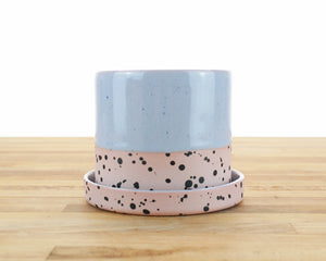 4 inch Dipped and Dotted Cylinder Planter with Saucer