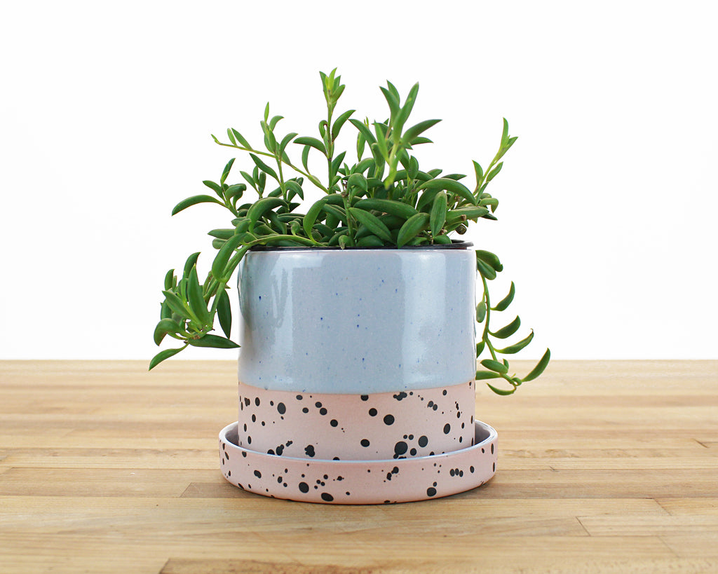 4 inch indoor plant pots 4 inch Dipped and Dotted Cylinder Planter with Saucer – Tiny Badger Ceramics