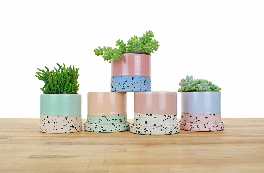 dipped plant pot 4 inch Dipped and Dotted Cylinder Planter with Saucer – Tiny Badger Ceramics