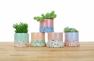 4 inch Dipped and Dotted Cylinder Planter with Saucer