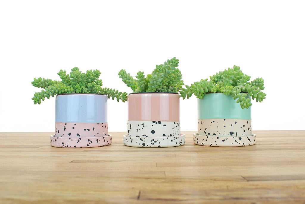 4 litre plant pots 4 inch Dipped and Dotted Cylinder Planter with Saucer – Tiny Badger Ceramics