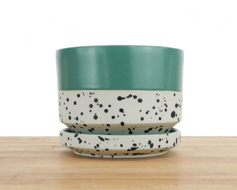 6 inch Cylinder Planter - Dipped and Dotted Forest Green over Cream