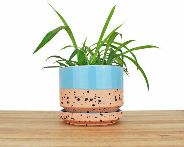 6 inch Cylinder Planter - Dipped and Dotted Blue over Orange