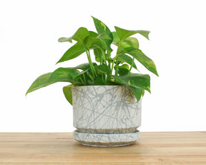 6 inch Cylinder Planter - Grey Splatter