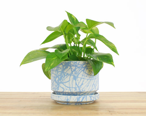 6 inch Cylinder Planter - Sky Splatter