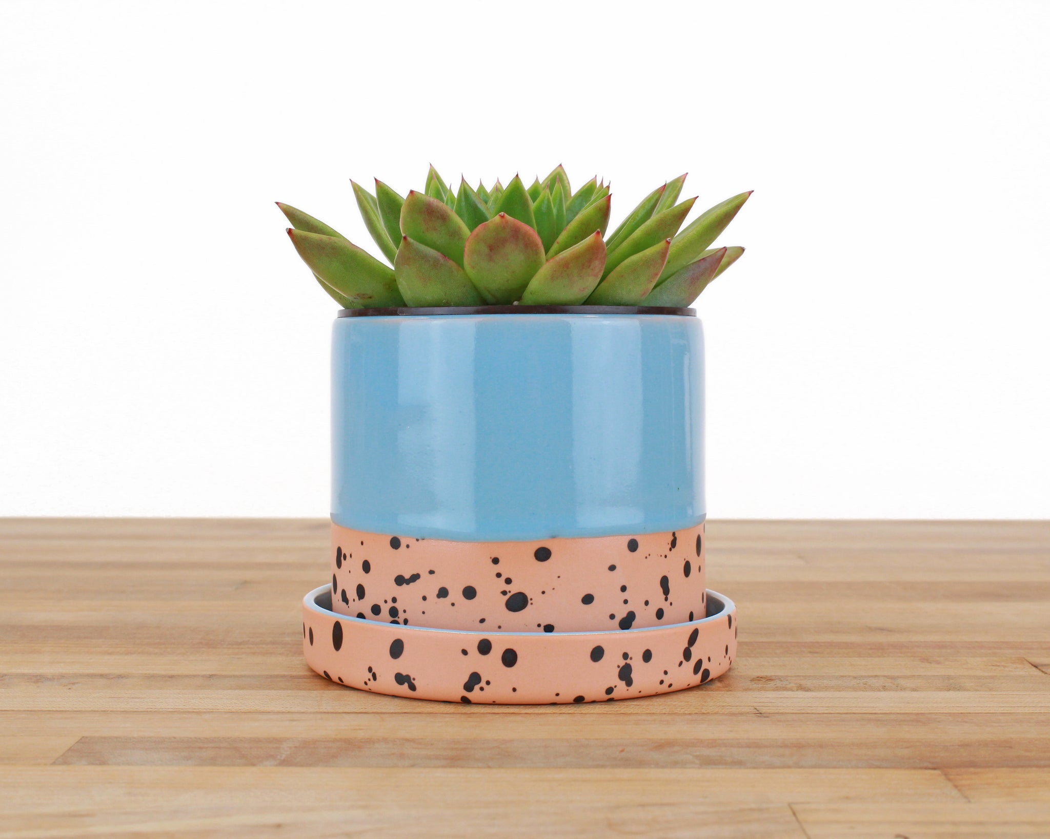 4 inch Dipped and Dotted Cylinder Planter with Saucer