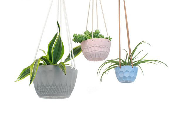 Seconds - Hanging Planter - Mini