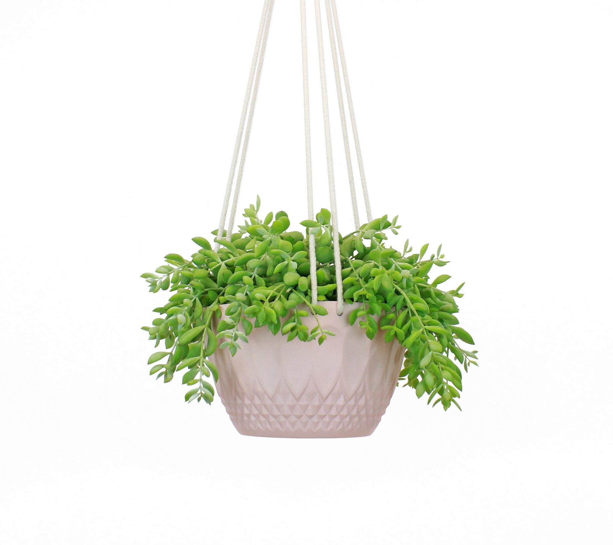 wide hanging planter Hanging Planter