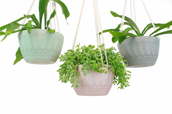 Seconds - Hanging Planter - Large