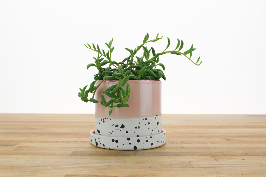 4 inch planter pot 4 inch Dipped and Dotted Cylinder Planter with Saucer – Tiny Badger Ceramics